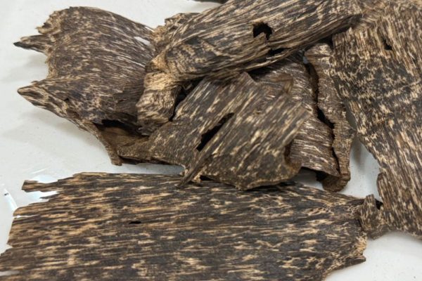 CAMBODIA-CHIP-AAA+tn